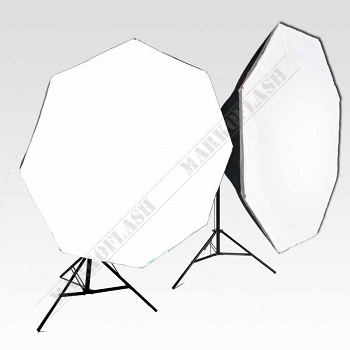 Large_d19-24soft8