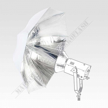 Large_E8parasol-sreb-bial