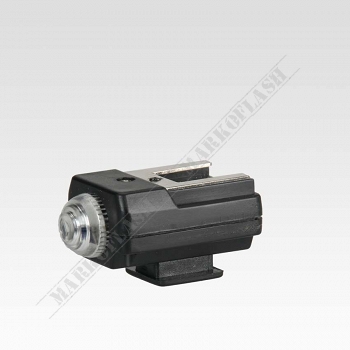 Large_P6